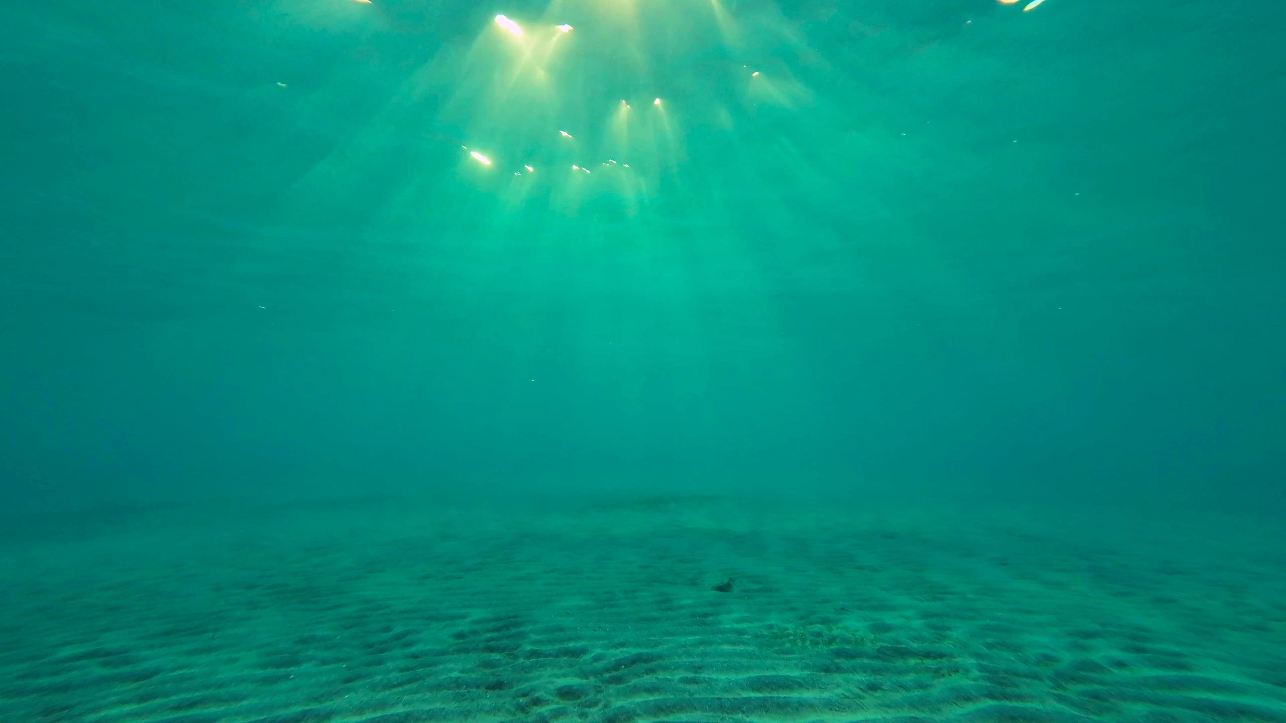 Water and under-water drones
